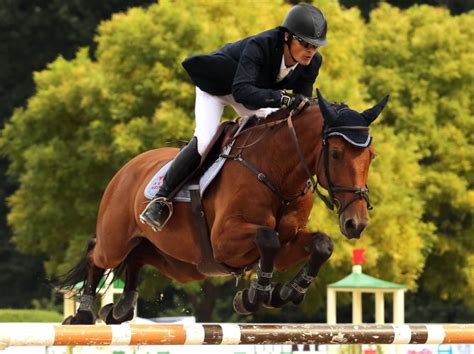 Horse jumping competition in Beijing - Slideshow - UPI.com