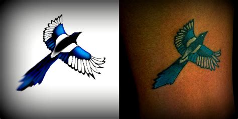 Magpie Tattoo Before and After by Nicole-Lyn2 on DeviantArt