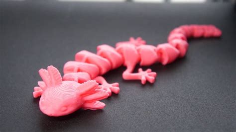 3d Printed Articulated Axolotl - Etsy