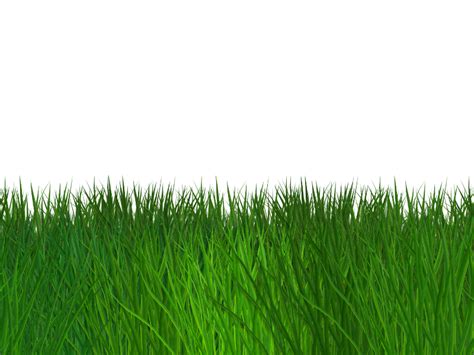 Border Grass Seamless Transparent Background Free (Nature-Grass-And-Foliage) | Textures for ...