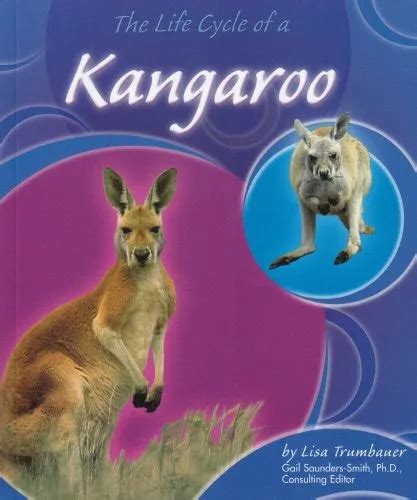 THE LIFE CYCLE of a Kangaroo (Life Cycles (QEB Publishing)) £4.08 - PicClick UK