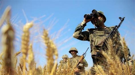 Border Security Force, Sashastra Seema Bal get new chiefs | Latest News ...