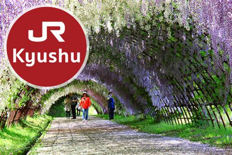 JR Kyushu Rail Pass - JAPANALLPASS.COM เจแปนออลพาส ดอท คอม