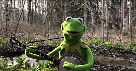 Quirky Kermit the Frog Gives Self-Isolated Performance of “Rainbow Connection” – WWJD