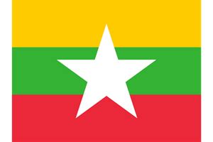 FLAG OF MYANMAR - What the Logo?