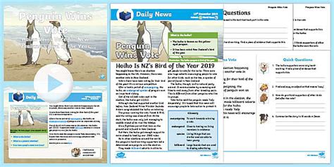 LKS2 Hoiho Wins NZ Bird of the Year Vote Daily News Resource Pack