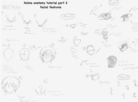 anime anatomy tutorial part 2 by yuukihana on DeviantArt