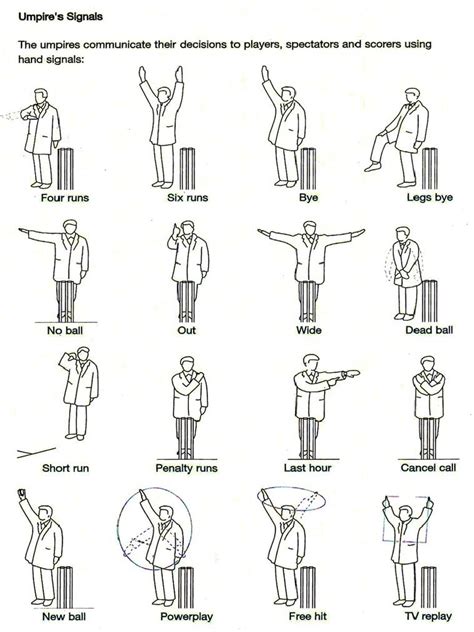 Cricket Umpire Signals