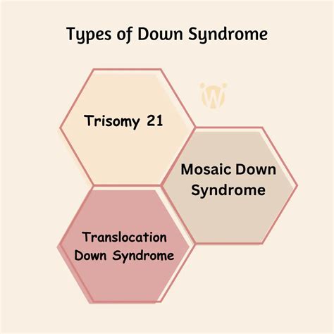 Down Syndrome - Types, Signs and Symptoms