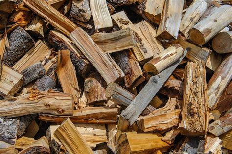 Free Firewood: 8 Places to Find It Near You • Insteading