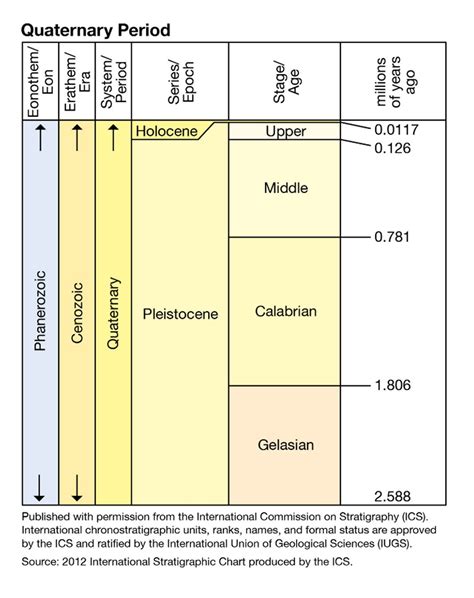 The Cenozoic — Lask Fossil Collection