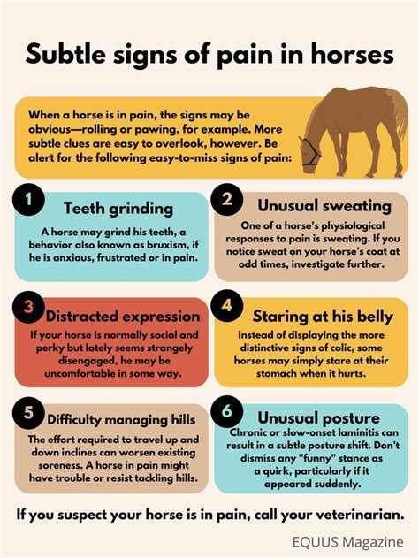 Pin by T M on Horses | Horse care tips, Healthy horses, Horse health