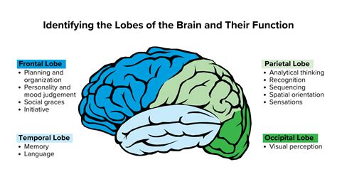 Researchers find brain protein in frontotemporal dementia UPSC