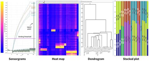 Antibody Epitope Mapping | Carterra