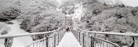 3 Reasons Why You Should Visit Jeju Island In Winter - Trazy Travel Blog