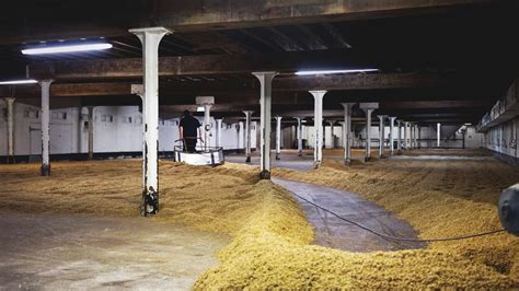 Malting Processes - The Maltsters’ Association of Great Britain