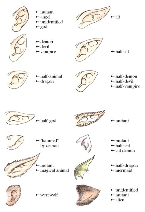 Ears' guide by Yume by Yumenegari on DeviantArt | Art sketchbook, Art ...