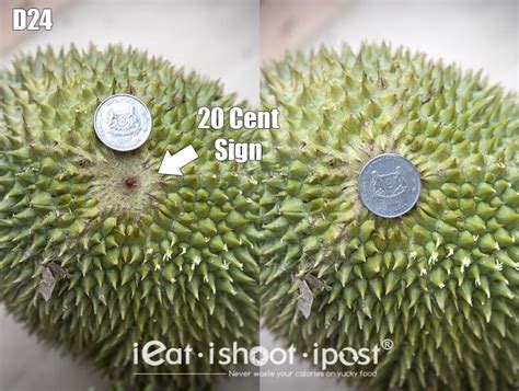 The Ultimate Singapore Durian Guide - ieatishootipost