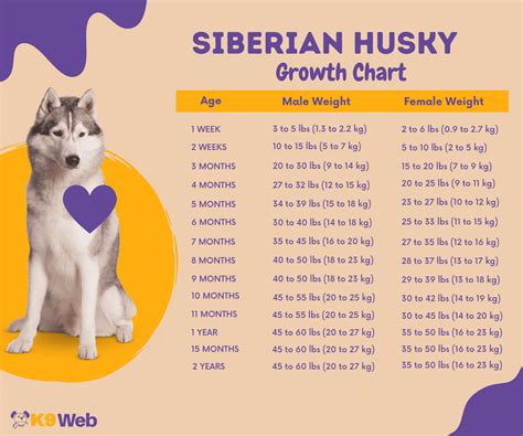 Siberian Husky Growth and Weight Chart (Male & Female) – The Complete ...