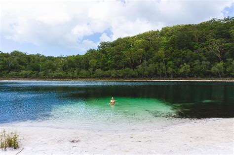 Pack-free Camping: Lake McKenzie Eco Walk - 2 Days - Fraser Dingo 4wd Adventures Reservations