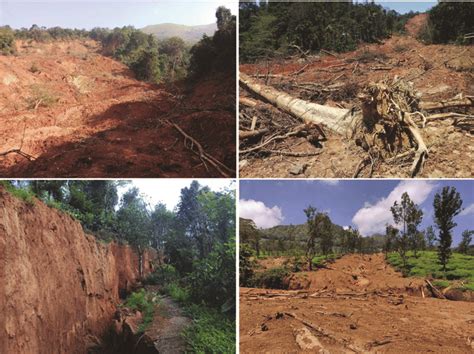 Field phogographs of landslides in Kerala. (a, b) Debris flow near ...