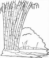 Bamboo Forest Coloring Page  ColoringBay sketch template