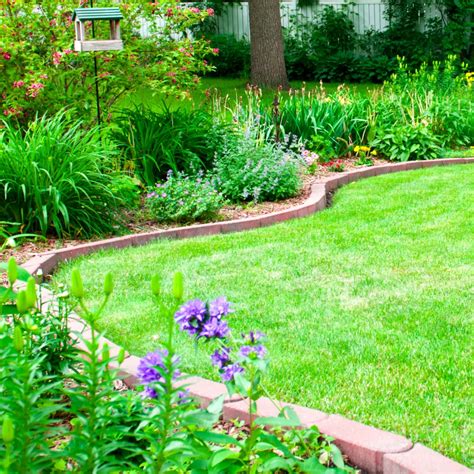 15+ Backyard Landscaping Ideas on a Budget That You NEED to Know ...