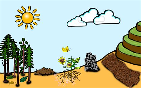 Soil Erosion Prevention