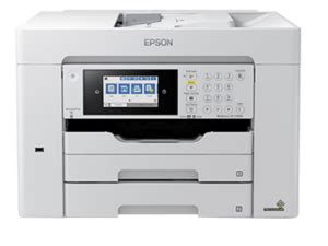 Epson perfection v500 photo drivers - porfab