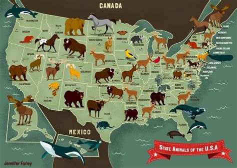 Pin by Freebird Speaks on Maps of animals | Usa map, Illustrated map ...