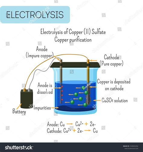 Anode and Cathode in Electrolysis - ArmandorosArcher