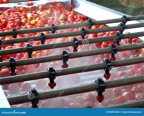 Tomato processing stock photo. Image of ketchup, treat - 86005462