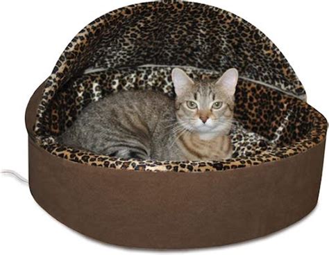 The 11 Best Heated Cat Beds for Indoor and Outdoor Kitties