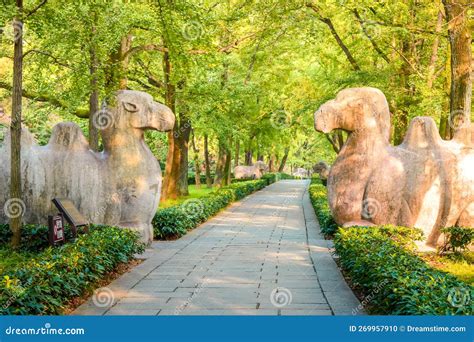 Elephant Road of the Ming Xiaoling Mausoleum Stock Photo - Image of ...