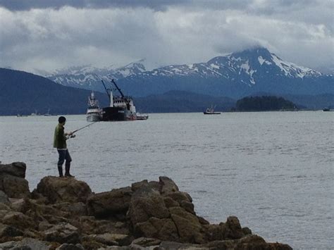 Fisherman at Amalga Harbor | Juneau alaska, Alaska, Juneau