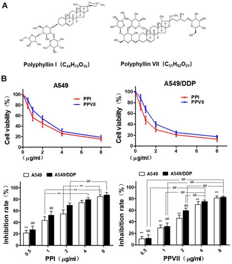 Polyphyllin I and VII potentiate the chemosensitivity of A549/DDP cells ...