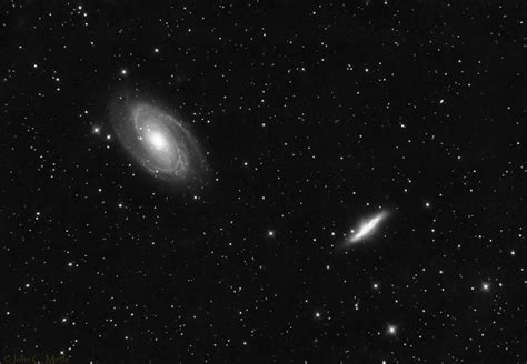 M81, M82 and supernova 1993J