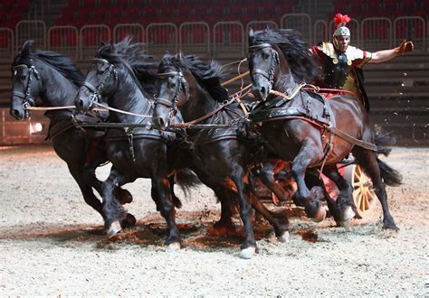 Koepsel, Christof - Chariot Race ('Ben Hur'- ISS Dome- Duesseldorf, Germany), 2009 | Horses ...