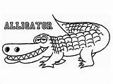 Alligator Coloring Pages For Toddlers  ColoringBay sketch template