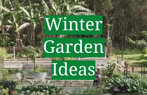 Winter Garden Ideas - GardenProfy