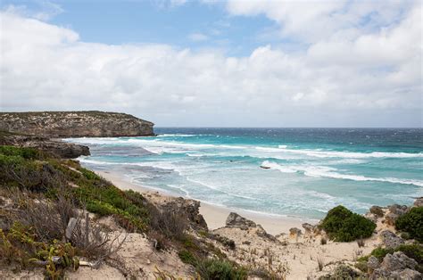 The Top Things You Must Do on Kangaroo Island | Travel Insider