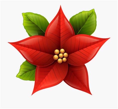 free clipart christmas flowers 10 free Cliparts | Download images on Clipground 2024