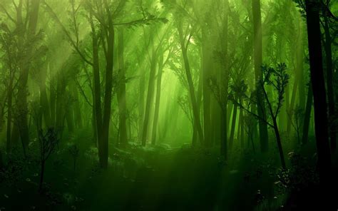 Mystical Forest Wallpaper (66+ images)