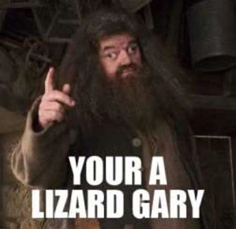 [Image - 239275] | You're a Wizard, Harry! | Know Your Meme