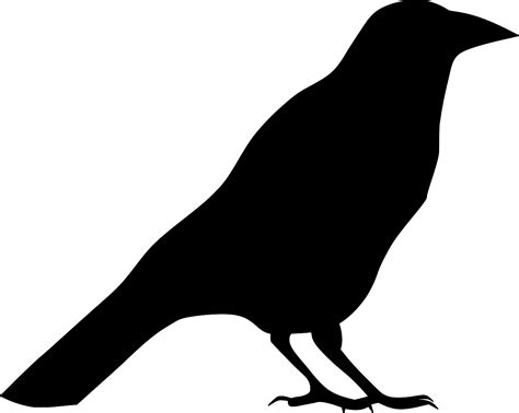 SVG > animal bird crow - Free SVG Image & Icon. | SVG Silh