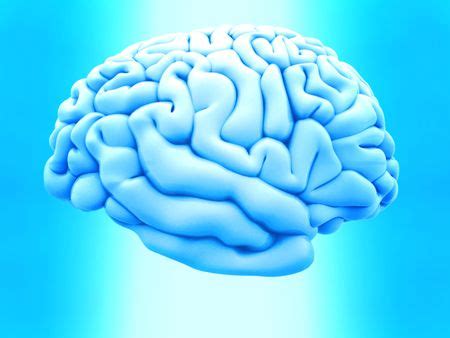 3D human brain from the side over a blue background | Freestock photos