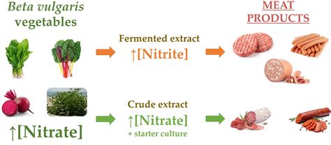 Beta vulgaris as a Natural Nitrate Source for Meat Products: A Review