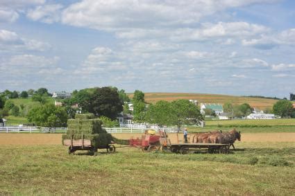 Amish Farm