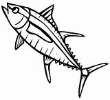 Jumping Albacore Tuna Coloring Page  Free Printable Pages For sketch template