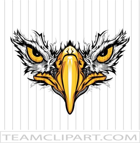 Eagle Eyes Clipart | Easy to Edit Vector Images | EPS and JPG